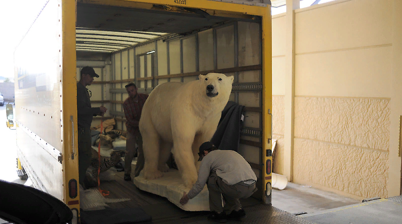 логистика при перевозке произведений искусства
